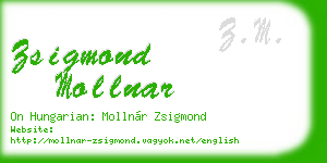 zsigmond mollnar business card